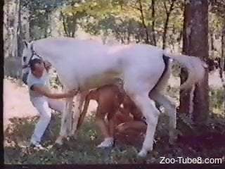 Group sex with horse outdoor