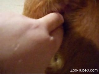Amazing close-up bestiality XXX fingering video