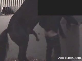 Raunchy gay bestiality on a ranch (anal zoo sex)
