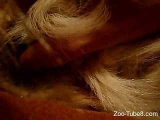 Curious zoophile films how he fingers hole of animal