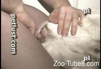 Zoo Sex Baby Xx Bideo - Goat fucked in the ass by horny man in brutal modes