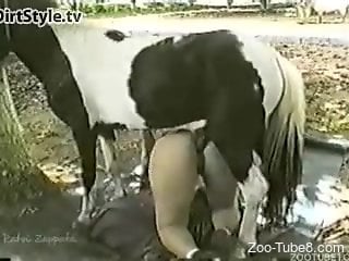 Collared hottie getting fucked by a very hung pony