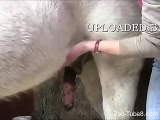 Hot masturbation scene with a big-dicked stallion