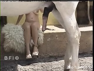 Slutty brunette enjoying brutal sex with a hung stallion