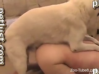 White dog eating ass and fucking a horned-up dude
