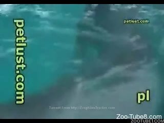 Man finger fucks mammal in marine XXX zoophilia