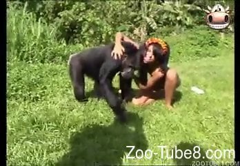 Gorilla And Girl X Video - Gorilla with a gorgeous ass is going to fuck brunettes