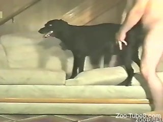 Dude is happy to screw that dog's pussy with his cock