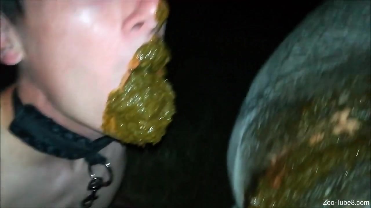 Horse Poo Porn - Dirty scat porn after this horny female endures horse sex