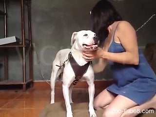 Good looking babe getting humped by a sexy beast