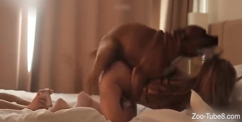 Energized female dog fucked hard enough to reach the orgasm