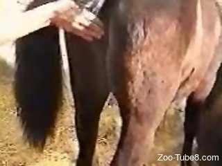 Naked man ass licks female horse before fucking it hard