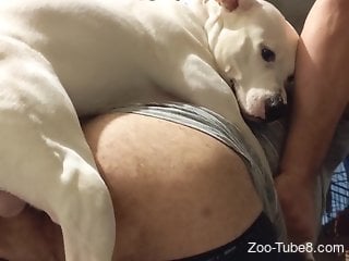 Dog humps man's butt hole in ruthless home XXX