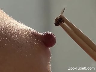 Bee fucks her nipple by stinging it real hard