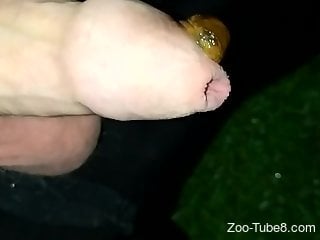 Guy with an uncut cock wants snails on his peen