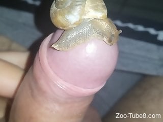 Sexy snail makes his cock throb in a POV video