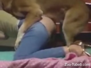 Furry dog humps naked woman and comes in her wet cunt
