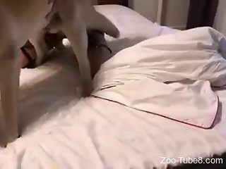 Aroused blonde slut tries sex with her dog while on cam