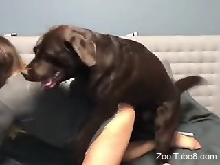 Nude amateur cam fucked by the dog in highly intense rounds