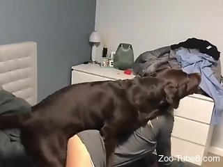 Nude amateur cam fucked by the dog in highly intense rounds