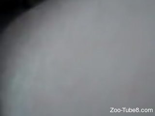 Aroused woman masturbates and tries zoophilia on cam