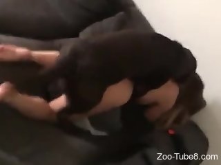 Sexy babe doggy style drilled by a dog in homemade scenes
