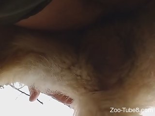 Horny man fucks furry animal and receives the same treatment