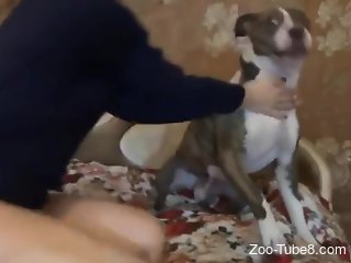 Sexy ass babe pulls down undies to fuck with her dog