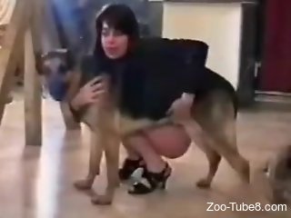 Nude amateur filmed in gorgeous scenes fucking with a furry dog